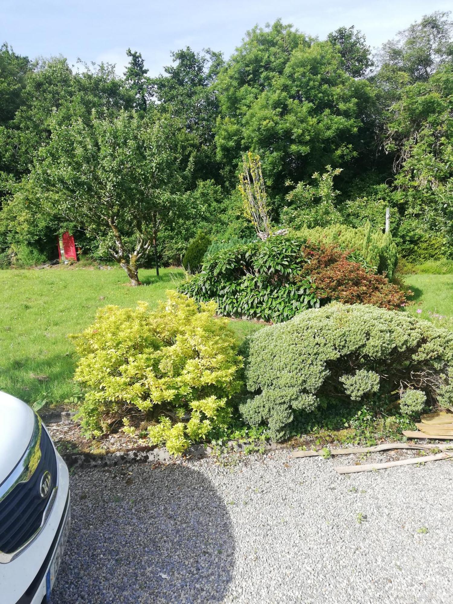 Ferienwohnung Lakeview House Galway Exterior foto